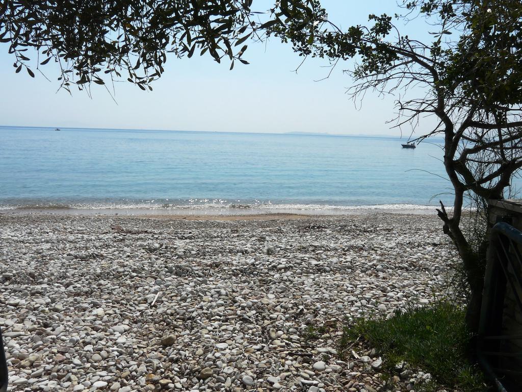 Villa Aliki Barbati Exteriér fotografie