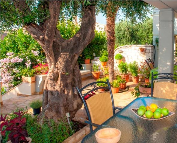 Villa Aliki Barbati Exteriér fotografie